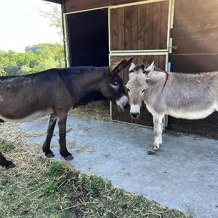 La Ferme Saint Pierre De Glabais ファームステイ *